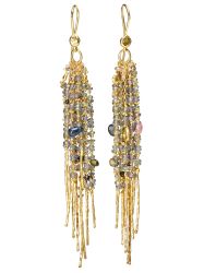 Fringe Treasure Earrings 